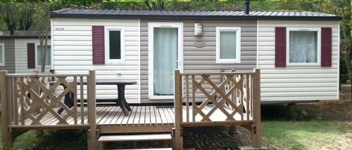 Mobile Home Evolution 31